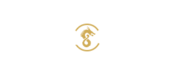 Dragon Gaming